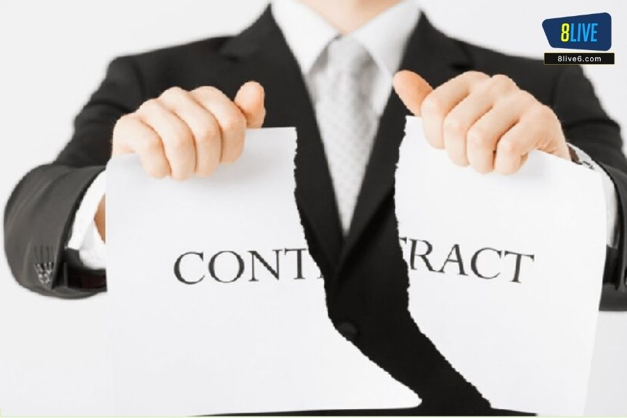 Người chơi cũng có quyền lợi nhất định